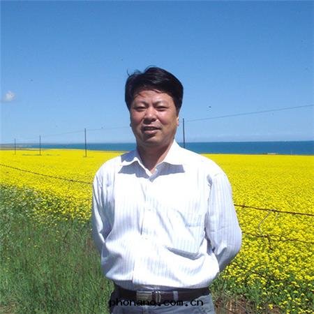 鋁(lǚ)單板幕牆(qiáng)